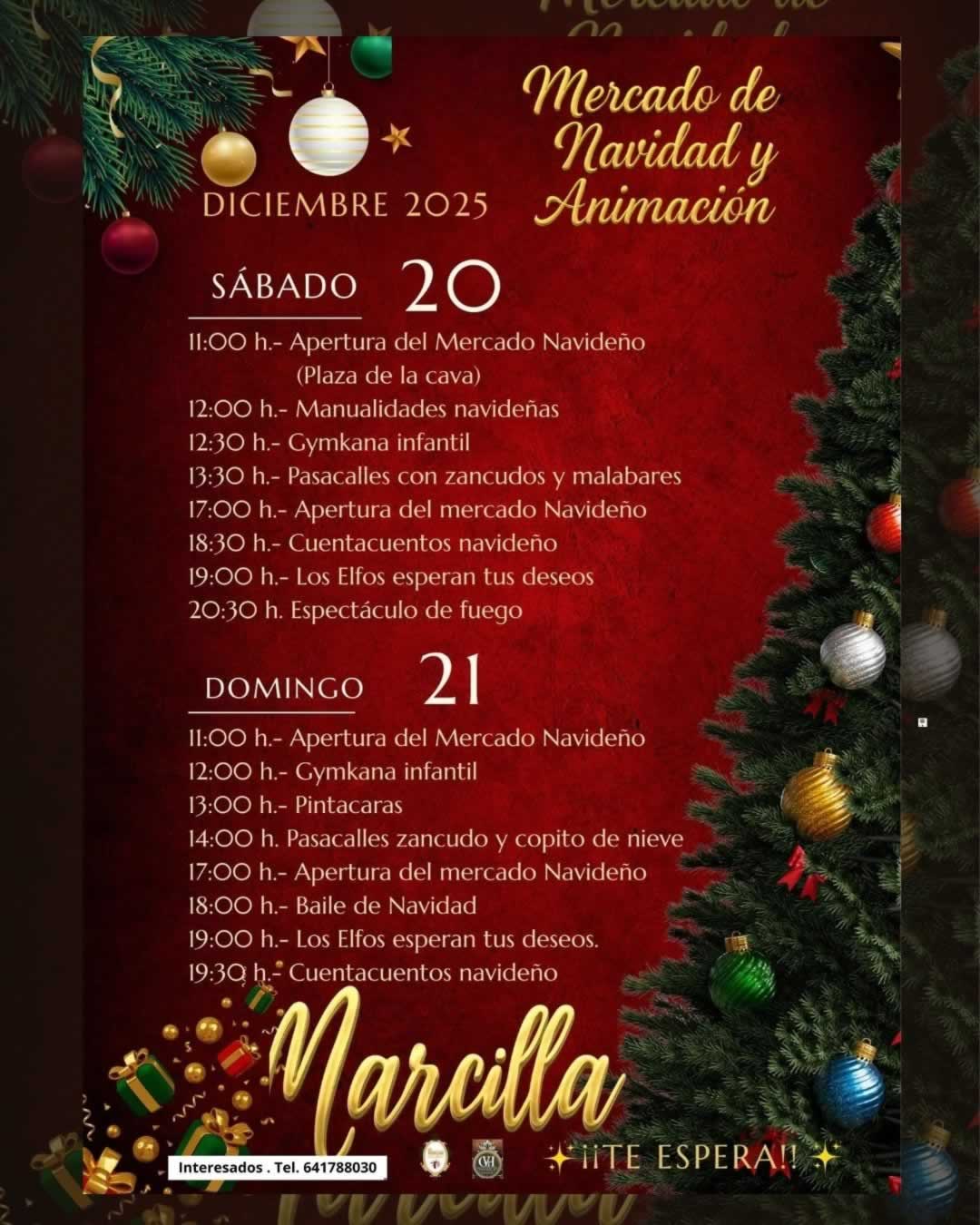 Mercado Navideño de Marcilla (Navarra) 2025